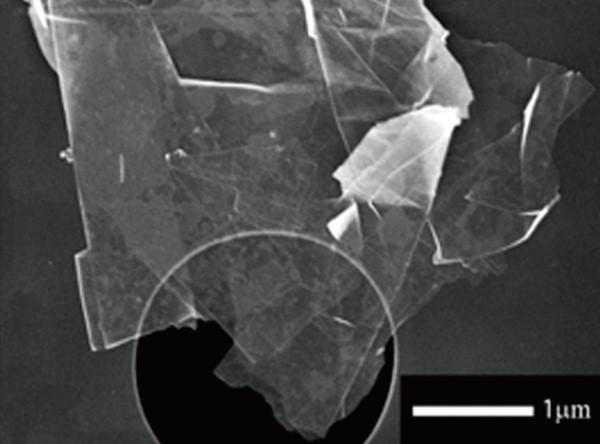 高比表面積石墨烯納米粉體3nm